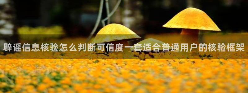 91吃瓜网页入口