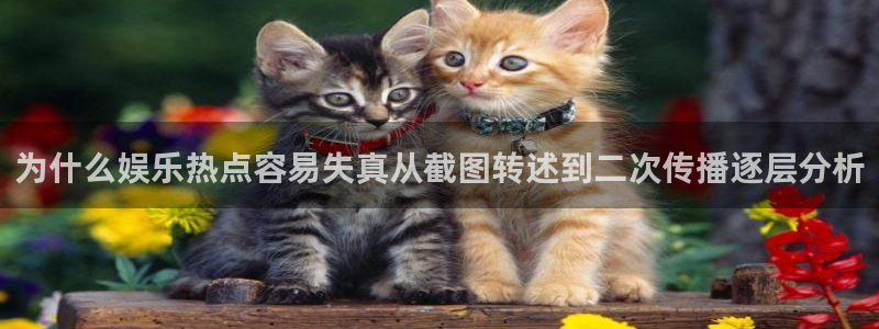 91吃瓜网络动态