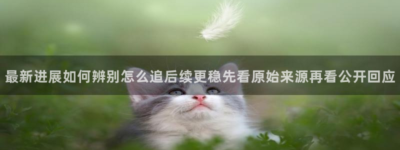91吃瓜每日动态