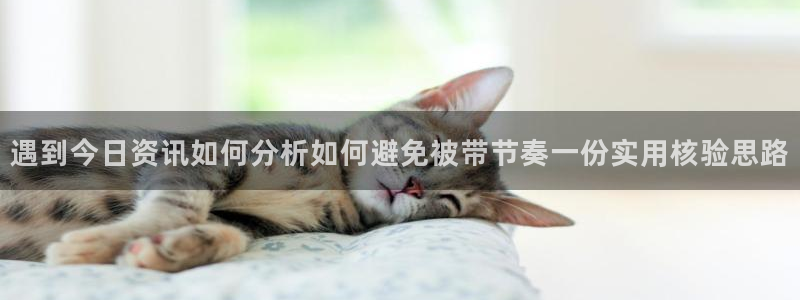 91吃瓜事件资讯